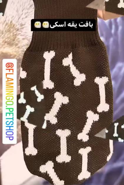 پت شاپ فلامینگو