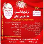 تشریفات پیوند آسان