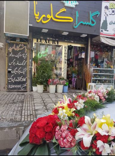 گل فروشی گلوریا