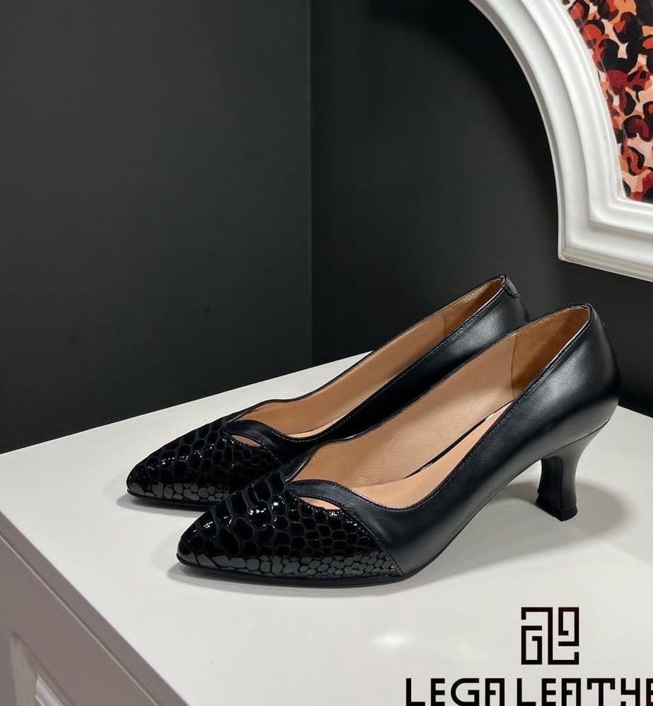 کیف و کفش چرم لگا