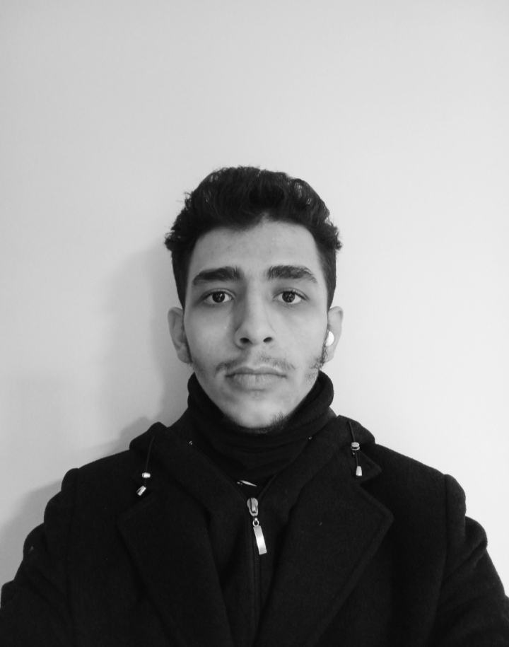امیررضا