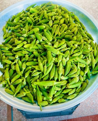 میوه و تره بار برادران شعیبی