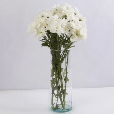 %30 تخفیف دسته گل داوودی