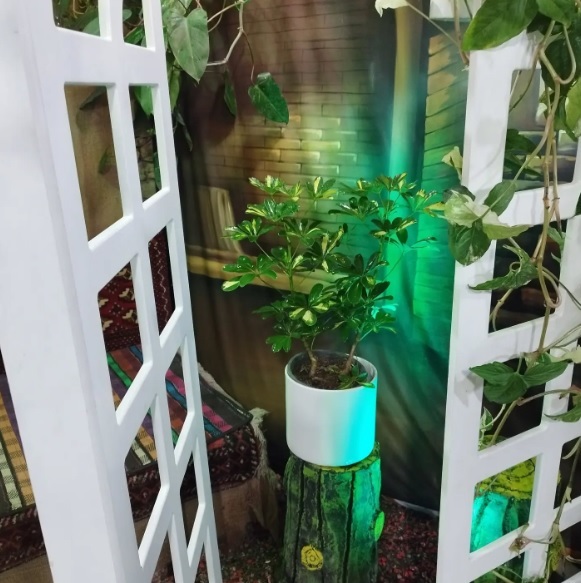 %30 تخفیف تمامی گل ها