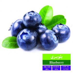 اضافه شده توسط <br> هدیه