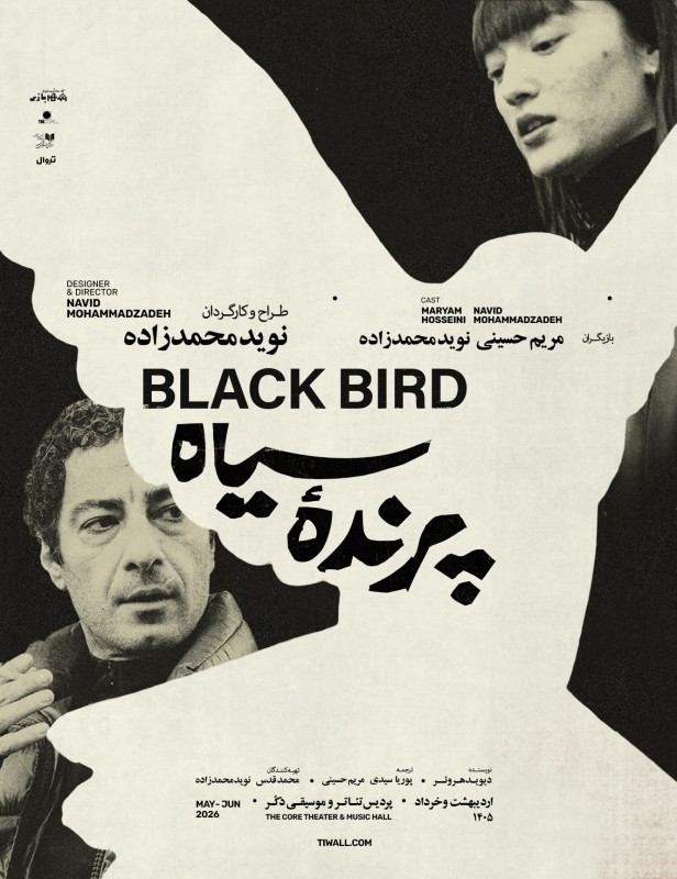 پرنده سیاه