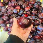 میوه و تره بار برادران شعیبی