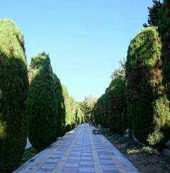 پارک ساعی