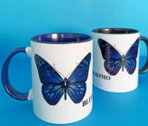 مجموعه چاپ باراد