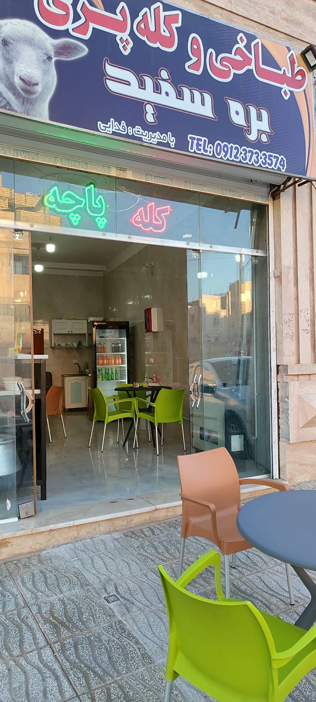 طباخی بره سفید