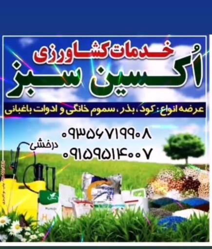 خدمات کشاورزی اکسین سبز شرق