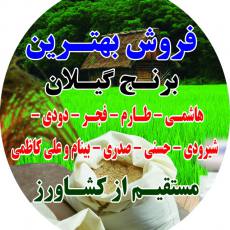 برنج فروشی گیلان