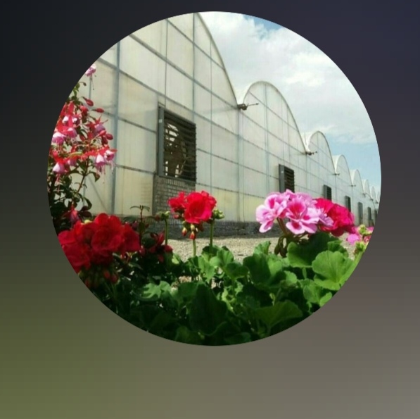 گلخانه دشت بهشت