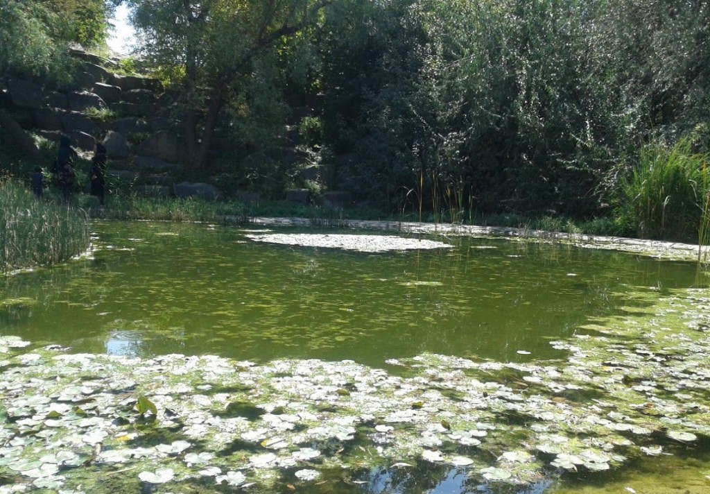 باغ ملی گیاه شناسی ایران