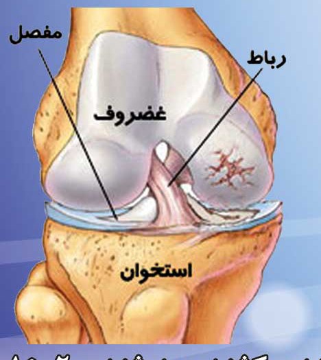 اضافه شده توسط <br> 