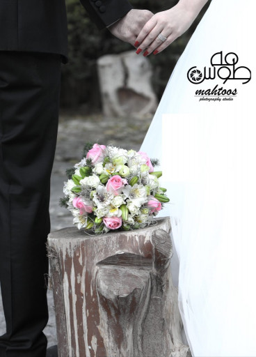 استودیو مه طوس