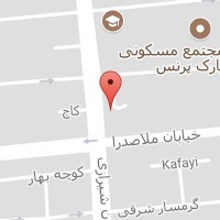 شرکت سینا تجارت پیشگام